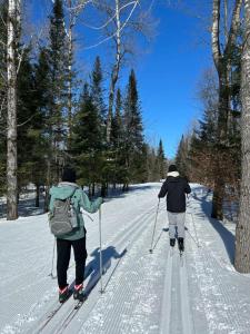 twee mensen zijn langlaufen in de sneeuw bij Au Gré Du Temps - Gîte B&B in Shefford