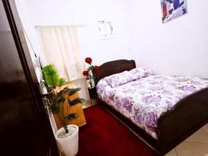 a bedroom with a bed and a potted plant at CASA Marwane in Chefchaouen