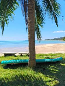 Twee surfplanken liggen onder een palmboom naast het strand. bij Phangan Orchid Resort in Baan Tai