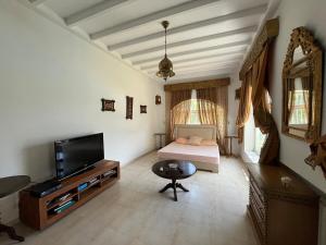 a living room with a television and a bed in a room at South Hammamet Pool Villa in Hammamet Sud