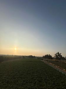 a field of crops with the sun in the background at Nayana comforts in Nandigunda