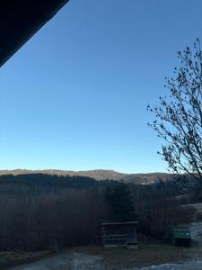 einer in der Mitte eines Feldes sitzenden Bank in der Unterkunft Panorama Apartments in Lohberg