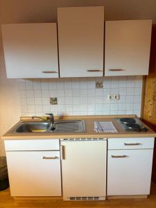 eine Küche mit weißen Schränken und einer Spüle in der Unterkunft Panorama Apartments in Lohberg