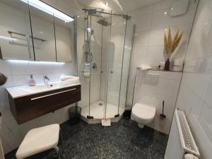 een badkamer met een douche, een toilet en een wastafel bij Rennerhof-Siebeneichen Fewo Waschbär in Sulzbach-Rosenberg