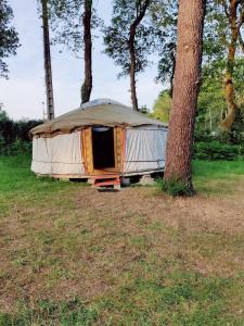 een tent in een veld naast een boom bij camping de brocéliande in Néant-sur-Yvel
