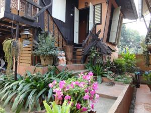 Zahrada ubytování Baanfai Guesthouse Chiangkhong