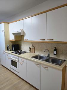 een keuken met witte kasten en een spoelbak bij Sager Haus in Murau