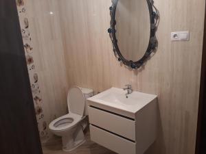 ein Badezimmer mit Toilette, Waschbecken und Spiegel in der Unterkunft Cabana Lac in Sadu