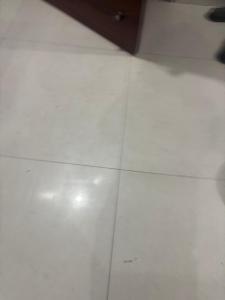Gallery image of Chandigarh citi center in Zirakpur