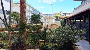 a garden with trees and plants in front of a building at Giro di Bitta in Giovinazzo