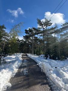 a road covered in snow with trees on it at Zeleni Mir in Divčibare