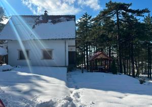 a house covered in snow with a gazebo at Zeleni Mir in Divčibare
