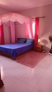 een slaapkamer met een blauw bed met roze gordijnen bij Tranon'i Maria in Toamasina
