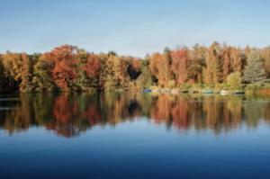 a lake with trees reflecting in the water at Ferienwohnung mit Garten am Venekotensee in Niederkrüchten