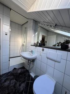 a bathroom with a toilet and a sink and a mirror at Ferienwohnung mit Garten am Venekotensee in Niederkrüchten +14 photos