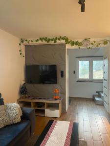 Et tv og/eller underholdning på Arkadia pod Diablakiem