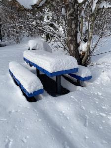 deux bancs recouverts de neige à côté d'un arbre dans l'établissement Chata na Polane, à Otilia 13 autres photos
