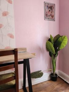 a room with a table and a potted plant at Ariane Hôtel in Vichy
