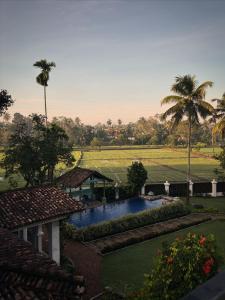 een resort met zwembad en palmbomen bij Villa Kubura in Hikkaduwa