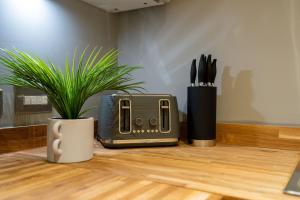 a plant sitting on a counter next to a toaster at Stylish 2 Bedroom APT with Balcony in Leeds
