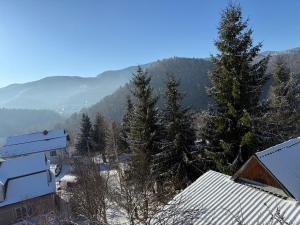 een uitzicht op een besneeuwde berg vanuit een huis bij Sadyba Zavitaiko in Jaremtsje +7 foto's
