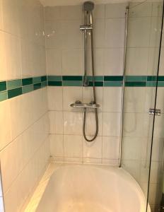 een douchecabine met een bad in de badkamer bij Trendy Terrace in Bristol