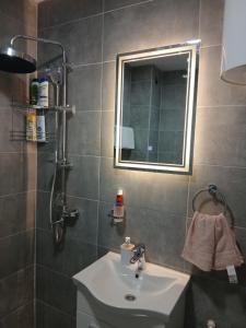 ein Badezimmer mit Waschbecken und Spiegel in der Unterkunft Apartman Mirjana in Sarajevo