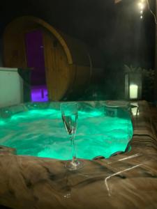 Hồ bơi trong/gần Villa Victoria Penzion