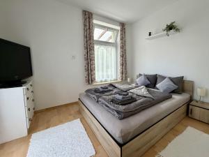 a bedroom with a bed and a tv and a window at Csendzug Vendégház in Békésszentandrás