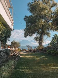 a view of the ocean from a house with a tree at El Dragon Hotel in San Marcos La Laguna