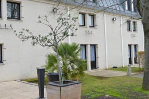 een boom in een pot voor een gebouw bij Kyriad Argenteuil in Argenteuil