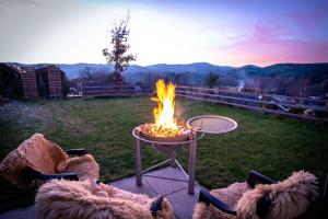 Naturlandskabet i nærheden af lejligheden