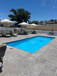 een blauw zwembad met stoelen en parasols bij Nassau Guest Farm in Stellenbosch