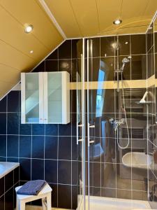 a bathroom with a shower and a sink at Eifeleule in Hürtgenwald +40 photos