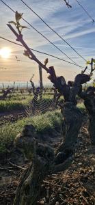 Afbeelding uit fotogalerij van Gîte de Dedette in La Grise +4 foto's