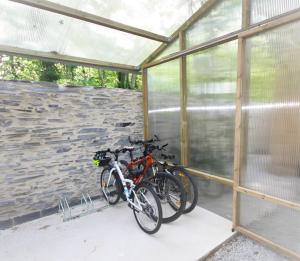 two bikes are parked in a greenhouse at Résidence Chez Gally in Les Ponts-de-Cé