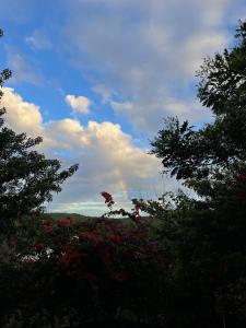 a rainbow in the sky over a field with trees at Casa Kahlo in Lençóis