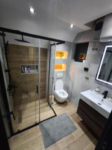 a bathroom with a shower and a toilet and a sink at Top Hill Vista in Sekulić  +41 photos