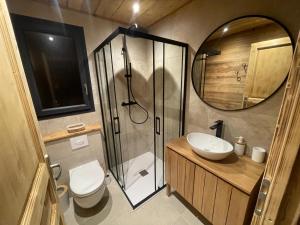 a bathroom with a shower and a toilet and a sink at Les 2 Chalets Alpins & Bains Nordiques in Saint-Michel-de-Chaillol +19 photos