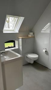 een badkamer met toilet, wastafel en raam bij Benbijdokkum in Driesum +33 foto's