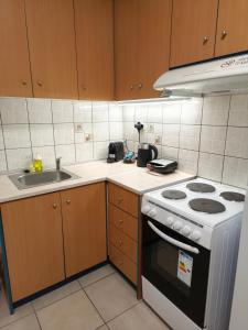 una cucina con fornelli e lavello di Dn'A home by the lake a Anatolí