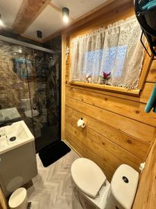 een badkamer met toilet, douche en wastafel bij Domek Mateo in Wambierzyce +45 foto's