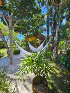 een hangmat in een tuin met een boom bij Casa Uzêda Trancoso in Porto Seguro +40 foto's