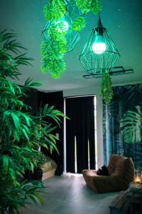 En have udenfor Ô Spa Privatif - Luxury Suite - JACUZZI-SAUNA-NETFLIX-FISHSPA-SERVIETTES-PEIGNOIRS-SANDALES-CAFE