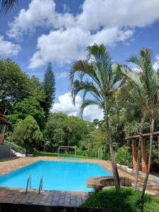 ein Pool mit einer Palme und ein Volleyballfeld in der Unterkunft Sítio Eventos Nossa Senhora Aparecida in São Joaquim de Bicas