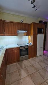 Kuchyň nebo kuchyňský kout v ubytování Lotti City Apartman + 6 fotografií