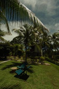 Twee blauwe bankjes onder een palmboom in een tuin. bij Jardim do Wape in Santa Cruz Cabrália