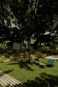 twee blauwe bankjes staan in het gras onder een boom bij Jardim do Wape in Santa Cruz Cabrália +2 foto's