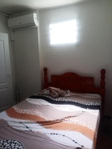a bed in a bedroom with a window at dragon des iles in Pointe-à-Pitre
