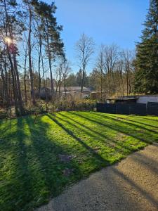 een grasveld met bomen en een hek bij Waldeck in Wadgassen